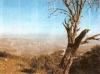 http://www.iznajar-property.co.uk/openr/images/listing_photos/264_picture5.jpg